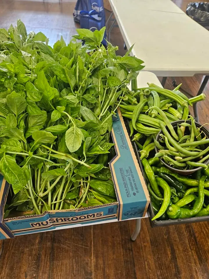Freshly harvested beans and greens.