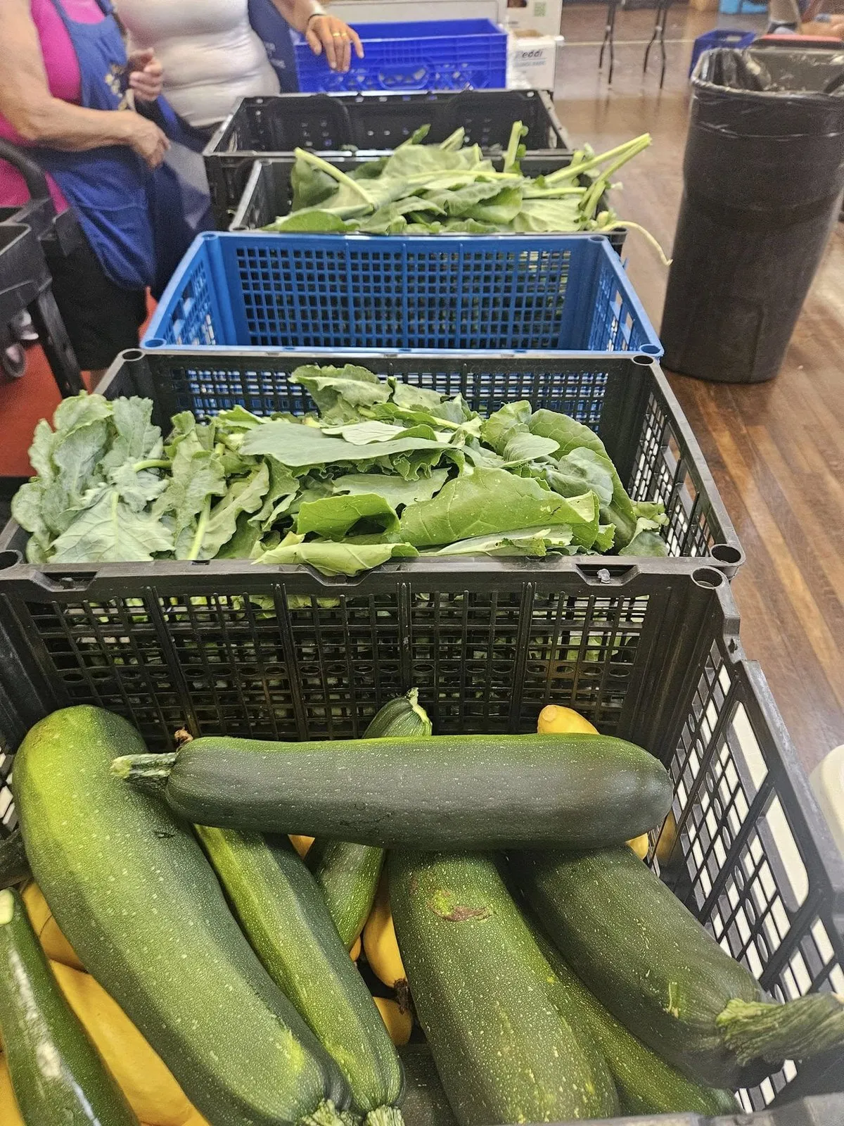 Crates of fresh greens.